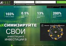 Maxvest v2.0: отзывы и обзор maxvest.io — закрыт 04.06.2019