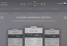 Mizes: отзывы и обзор mizes.biz — закрыт 10.03.2020