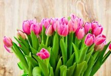 Результат моих интернет инвестиций в хайп проекты c 04.03-10.03.19. Портфель 4872$, прибыль 236,62$ или 4,86%