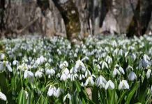 Результат моих интернет инвестиций в хайп проекты c 25.02-03.03.19. Портфель 4322$, прибыль 427,4$ или 9,89%