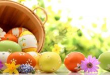 Результат моих интернет инвестиций в хайп проекты c 22.04-28.04.19. Портфель 3615$, прибыль 123,16$ или 3,41%