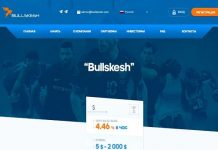 Bullskesh: отзывы и обзор bullskesh.com — закрыт 21.06.19