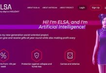 ElsaFund: отзывы и обзор elsa.fund — закрыт 10.07.2019