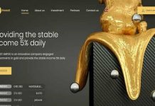 Ginvest: отзывы и обзор ginvest.cc — закрыт 13.11.2019