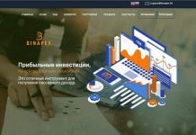 Binapex отзывы и обзор binapex.ltd — закрыт 14.08.2020