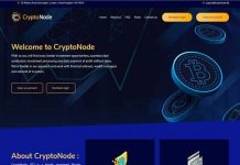 Сryptonode отзывы и обзор cryptonode.ltd — закрыт 25.09.2020