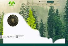 Megrix отзывы и обзор megrix.com — закрыт 29.07.2020