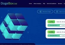 Dogebox отзывы и обзор dogebox.ltd — закрыт 25.11.2020