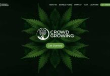 Crowd Growing отзывы и обзор crowd-growing.com — закрыт 17.08.2021