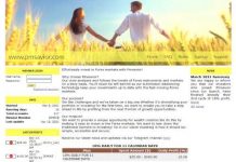 Pmsavior отзывы и обзор pmsavior.com — закрыт 27.05.2021