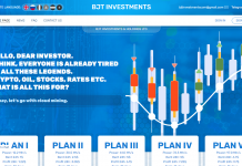 BJTinvestments отзывы и обзор bjt-investments.com — закрыт 31.05.2021