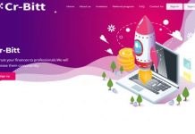 Cr-Bitt отзывы и обзор cr-bitt.pro — закрыт 13.06.2021