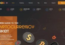 Elemexe отзывы и обзор Elemexe.com — закрыт 16.10.2021