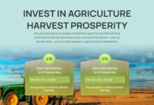 Swagronomy — закрыт 29.09.2023