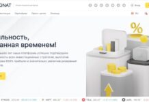 Asignat — закрыт 23.07.2024